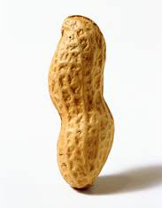 Never look down on anyone even they are small like a peanut